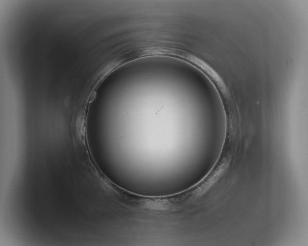 X0000102260809200807251328