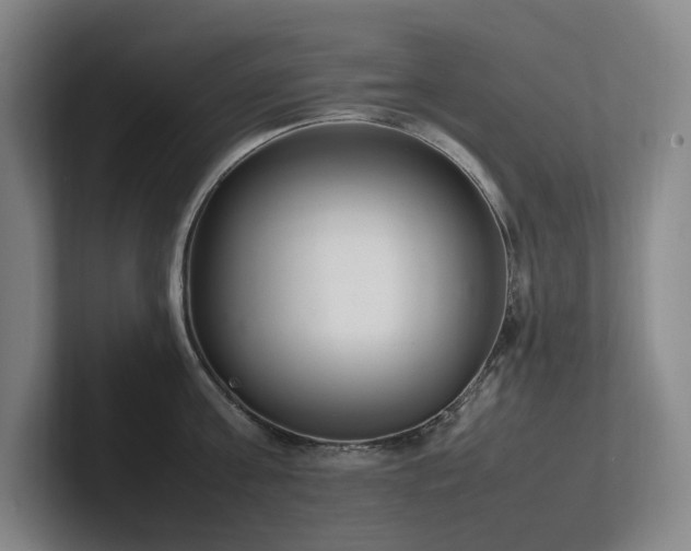 X0000102260811200807251328