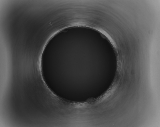 X0000102260815200807251328