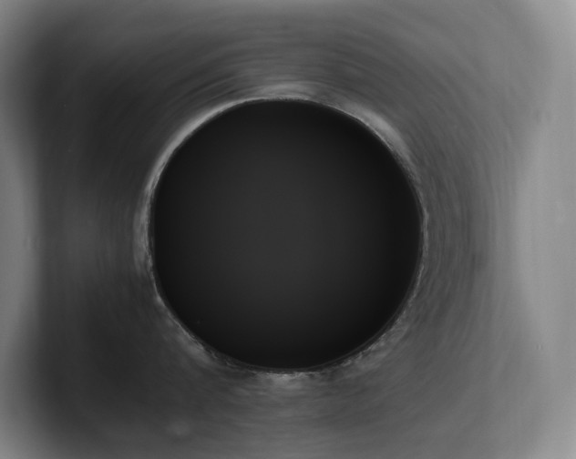 X0000102260816200807251328