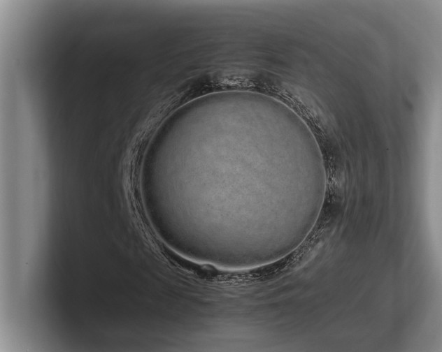 X0000102260817200807251327