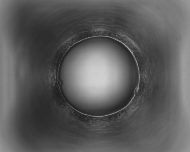 X0000102260821200807251327