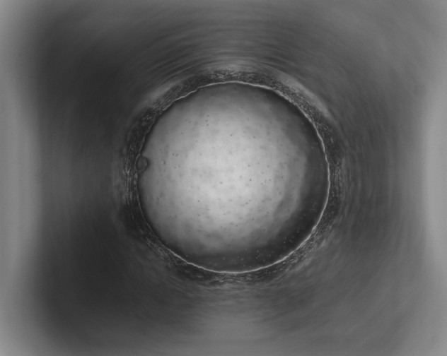 X0000102260822200807251327