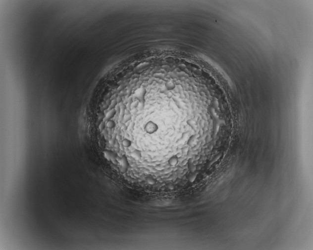 X0000102260823200807251327
