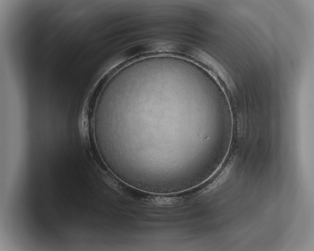 X0000102260827200807251327