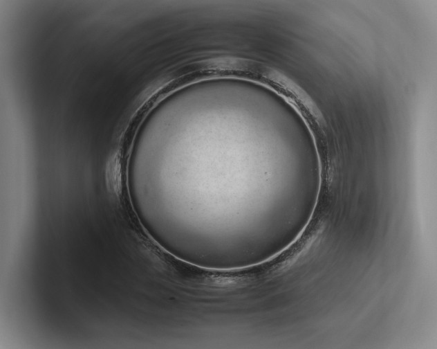 X0000102260829200807251327
