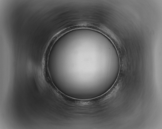 X0000102260831200807251328