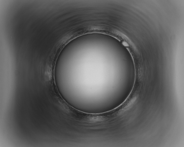 X0000102260833200807251328