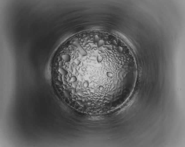 X0000102260835200807251328
