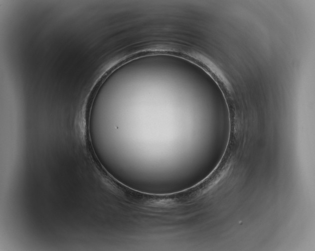 X0000102260837200807251328