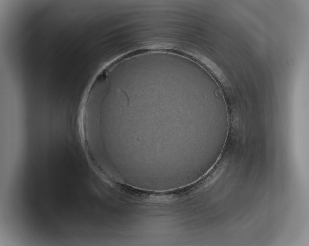 X0000102260840200807251328