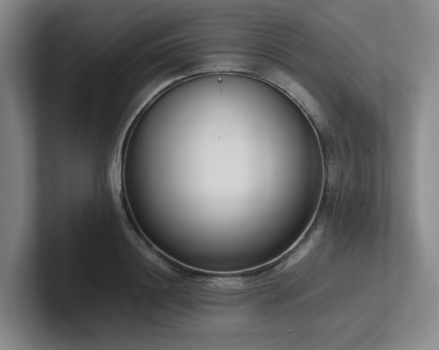 X0000102260844200807251328