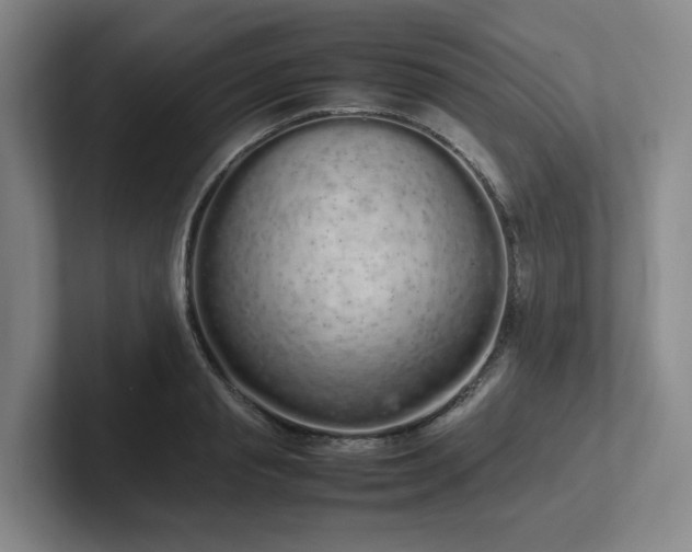 X0000102260845200807251328
