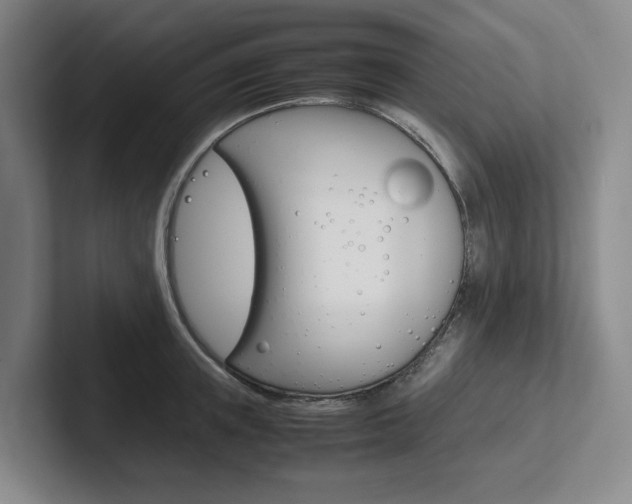 X0000102260851200807251328