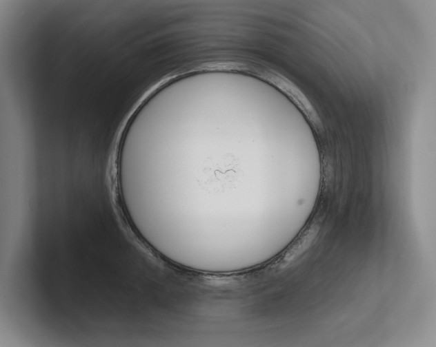 X0000102260852200807251328