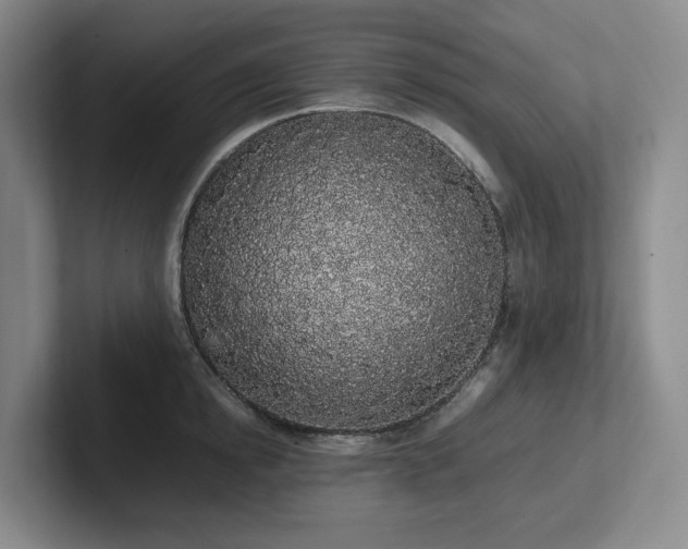 X0000102260854200807251328