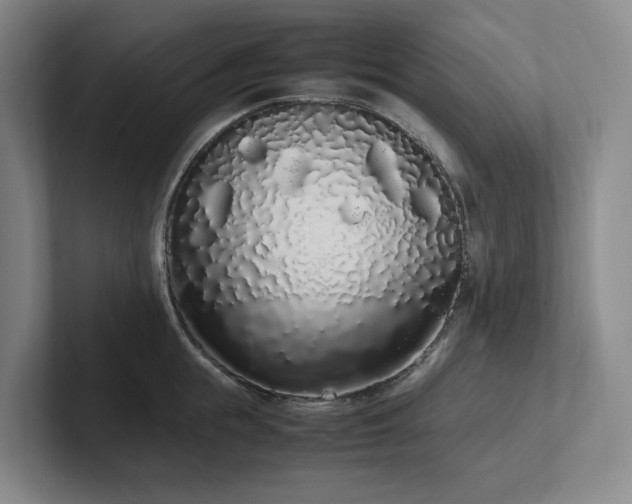 X0000102260855200807251328