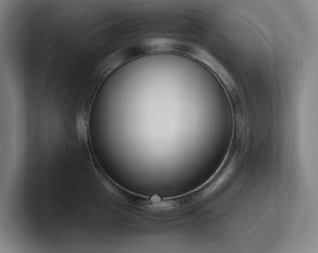 X0000102260857200807251328