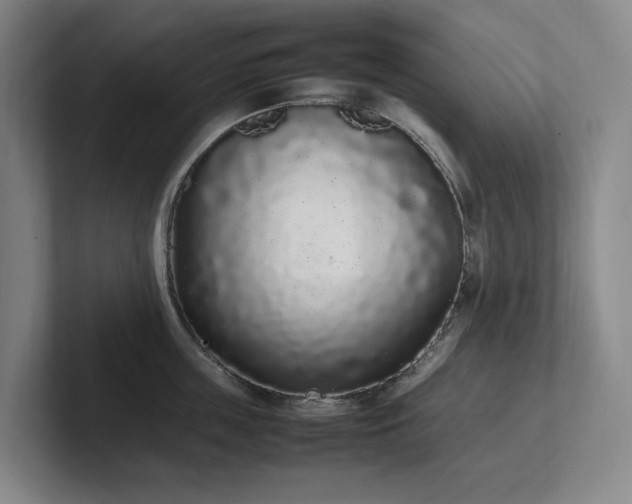 X0000102260859200807251328