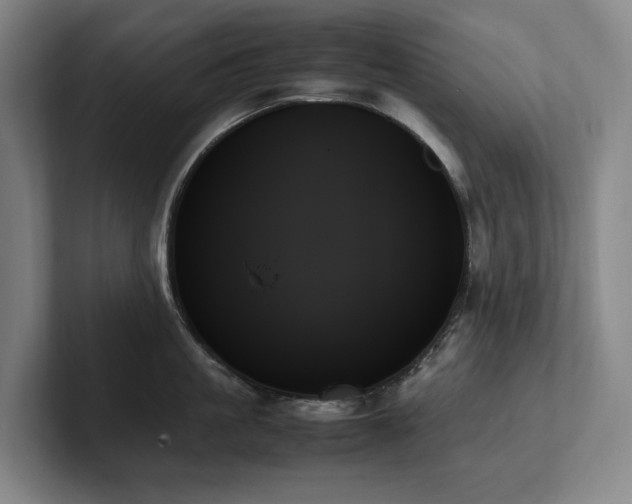 X0000102260861200807251328