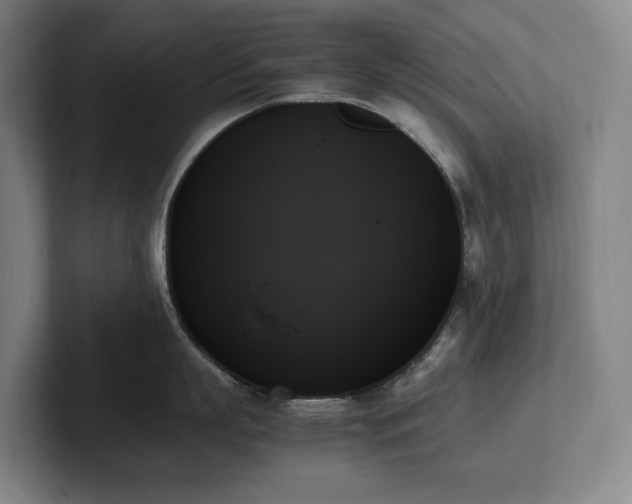 X0000102260863200807251328