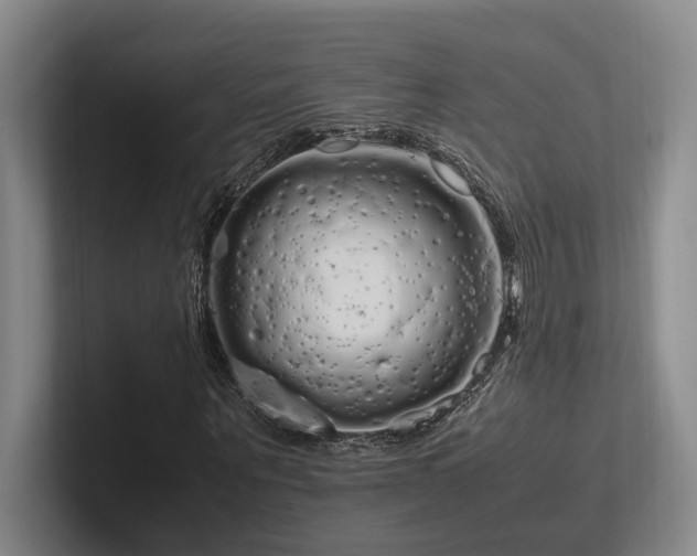 X0000102260867200807251327