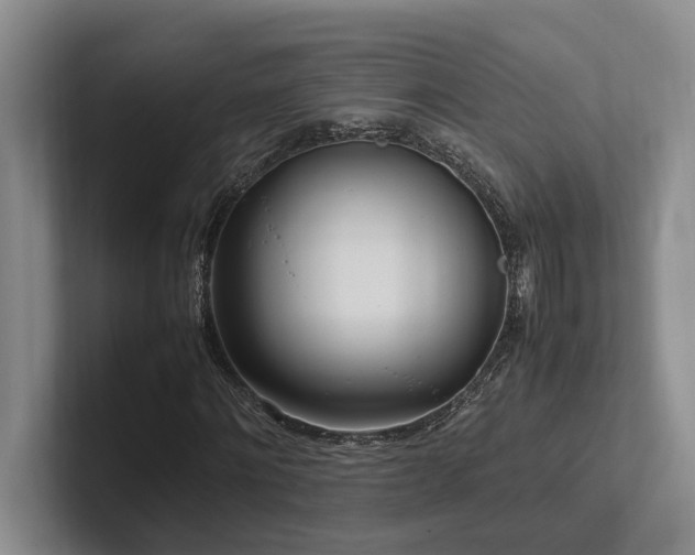 X0000102260868200807251327