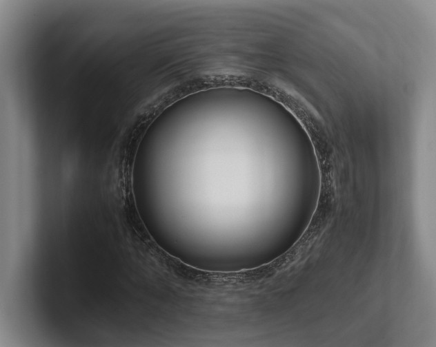X0000102260870200807251327
