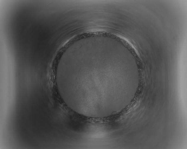 X0000102260871200807251327
