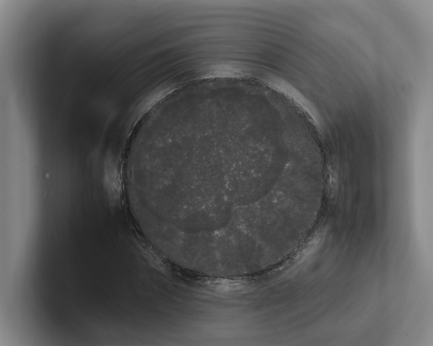 X0000102260874200807251327