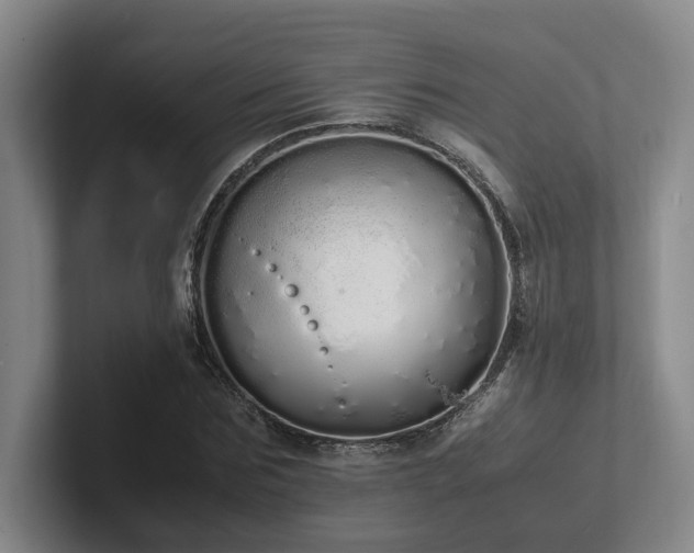 X0000102260875200807251327