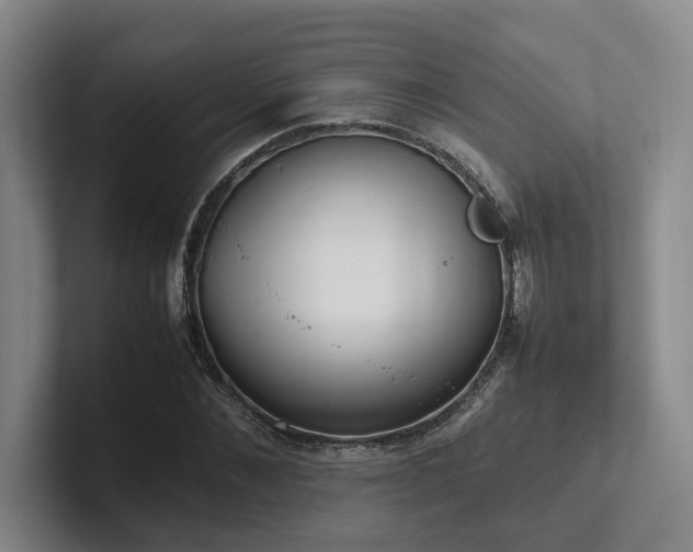 X0000102260876200807251327