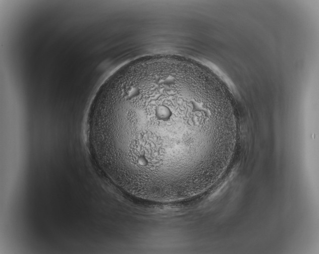 X0000102260879200807251327