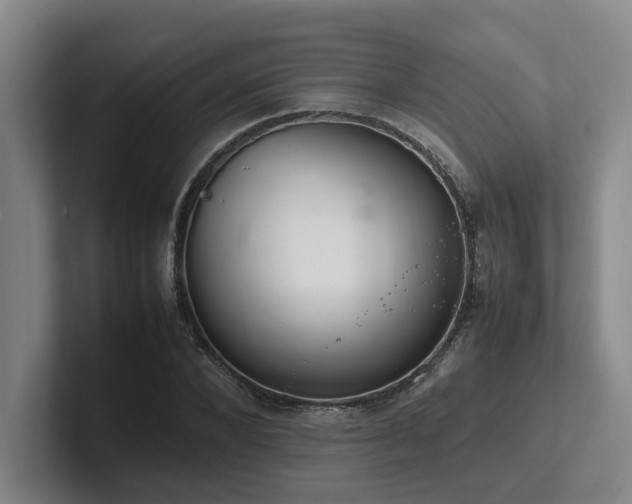 X0000102260880200807251327