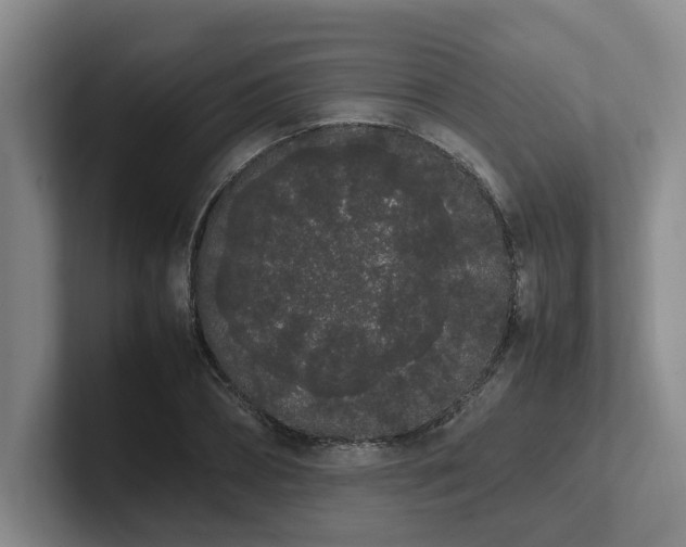 X0000102260882200807251327