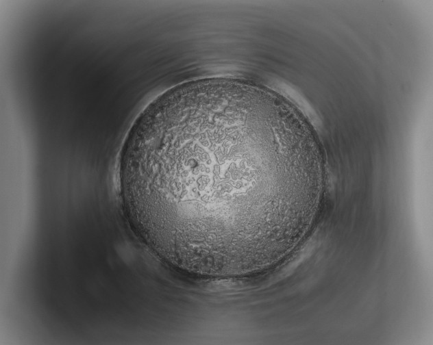 X0000102260883200807251327