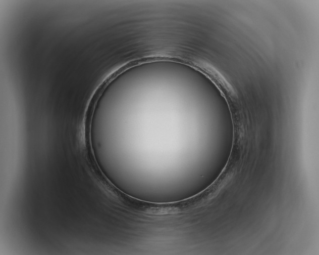 X0000102260884200807251327