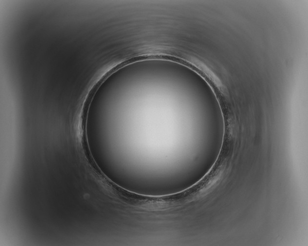 X0000102260885200807251327