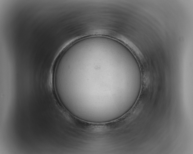 X0000102260886200807251327