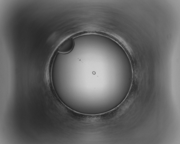 X0000102260887200807251327