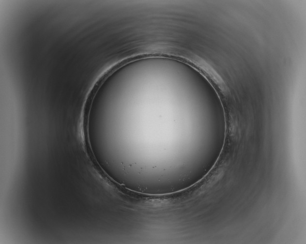 X0000102260888200807251327