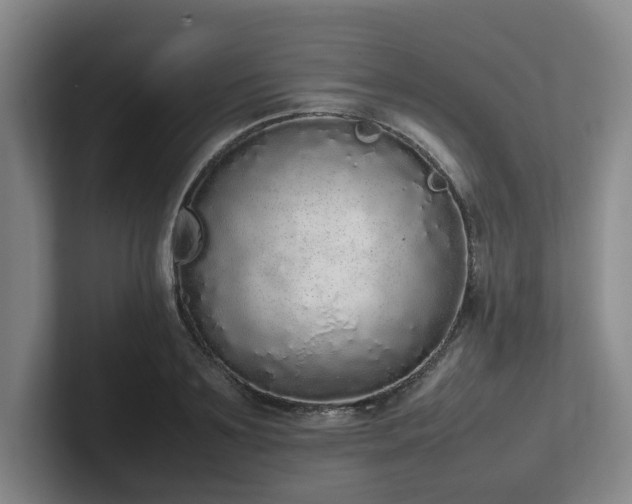 X0000102260891200807251327