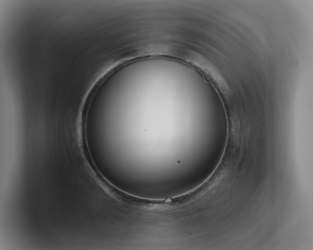 X0000102260894200807251327