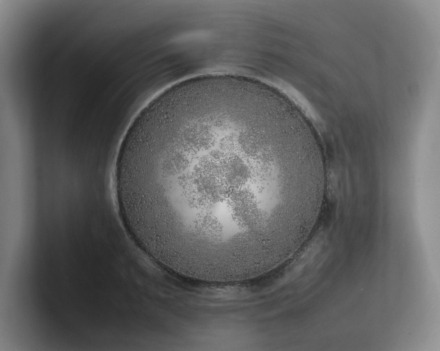 X0000102260895200807251327