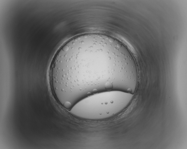 X0000102260899200807251327