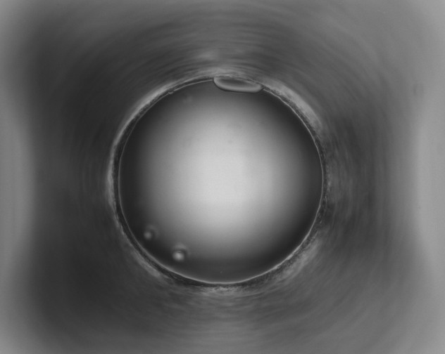 X0000102260902200807251327