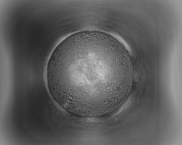 X0000102260903200807251327