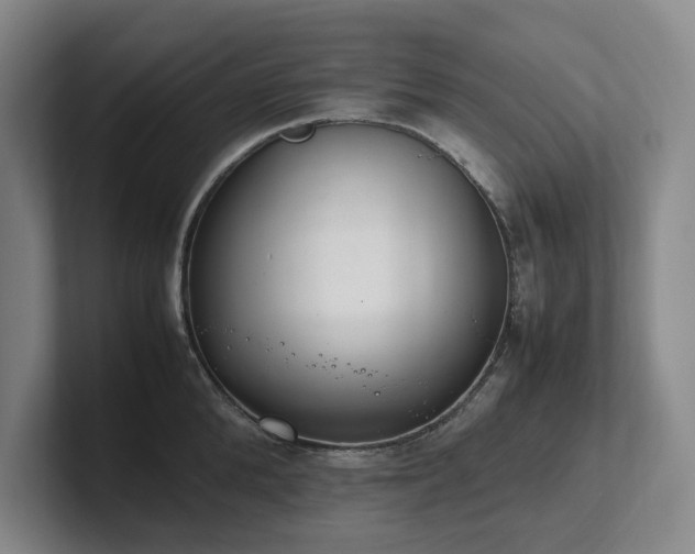 X0000102260904200807251327