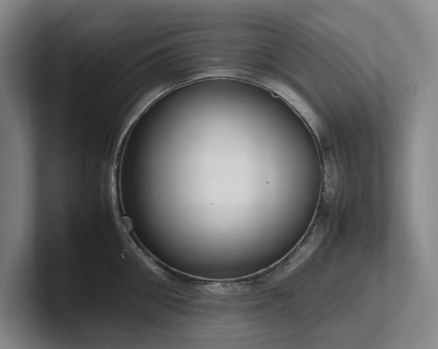 X0000102260906200807251327