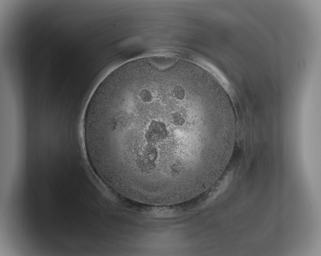 X0000102260907200807251327